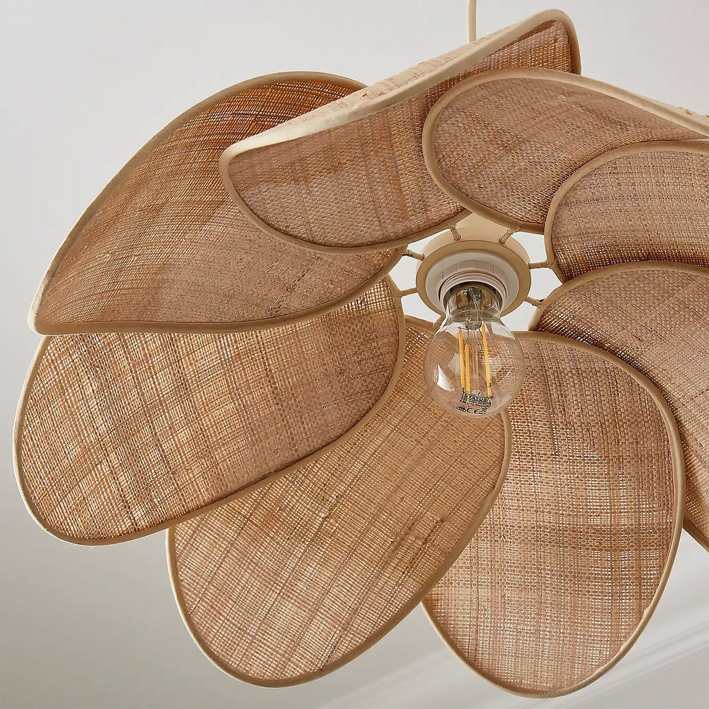 Pendant Ceiling Light