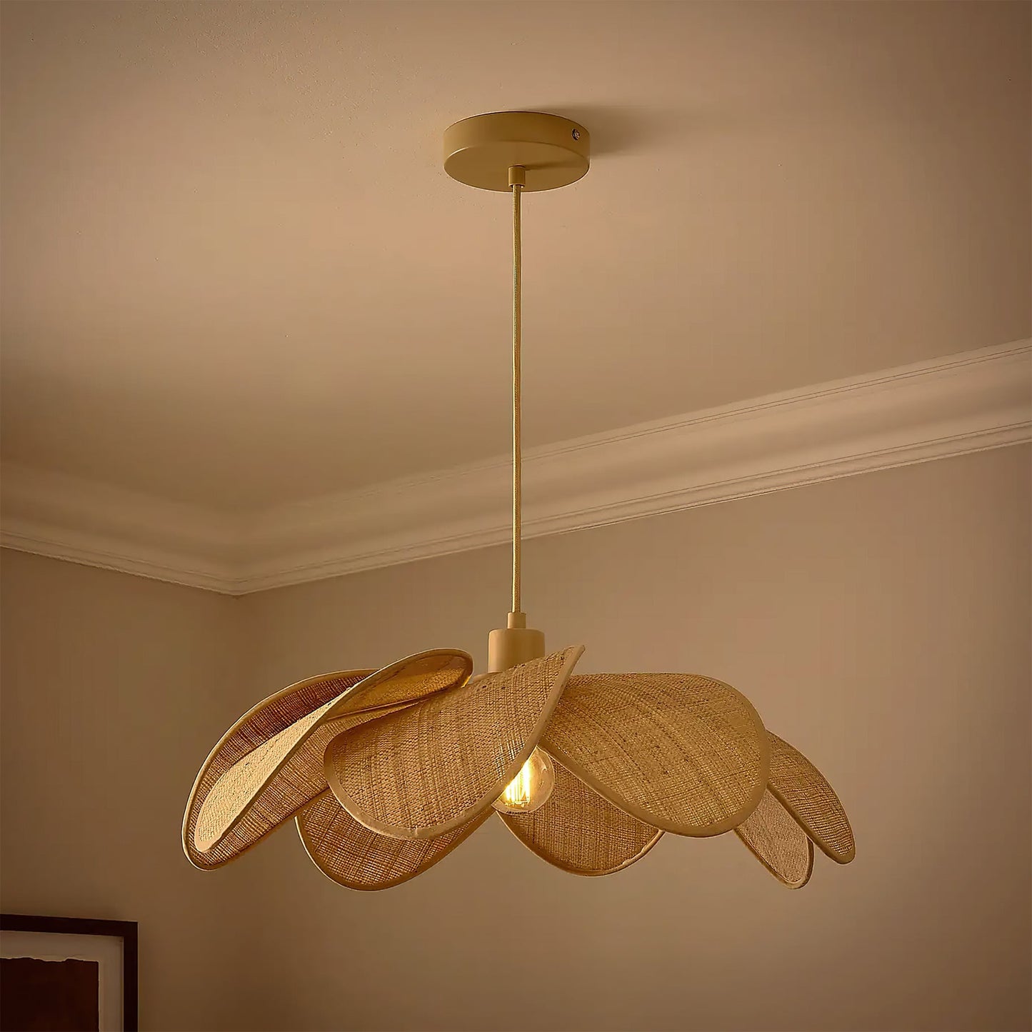 Pendant Ceiling Light