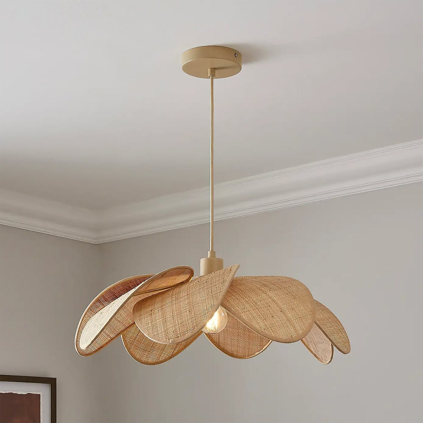 Pendant Ceiling Light